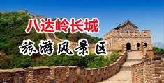美女菊花网站中国北京-八达岭长城旅游风景区